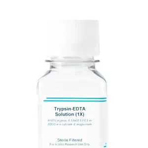 Trypsin